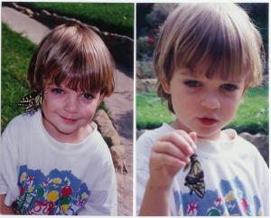 spencer and swallowtails